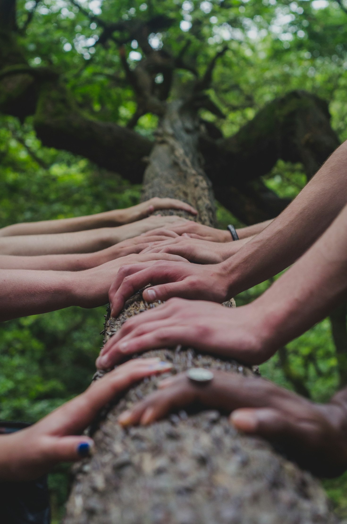 The Role of Technology in Advancing Equity